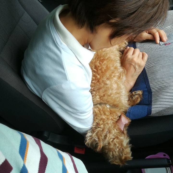 5e22df56 d2be 450d b6bd d3daf43a93d7 1529739114339