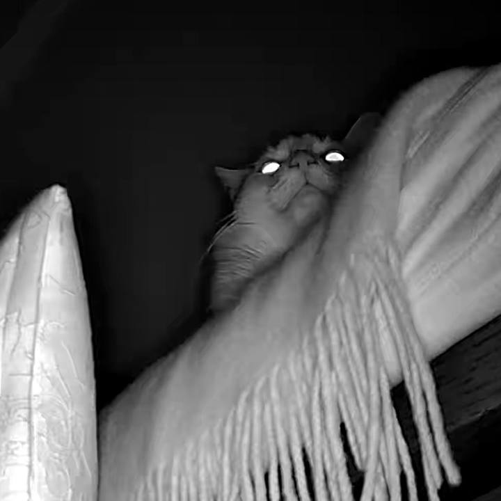 5e22f8eb b9e0 4905 9747 11fa80bd105f 1732776139797