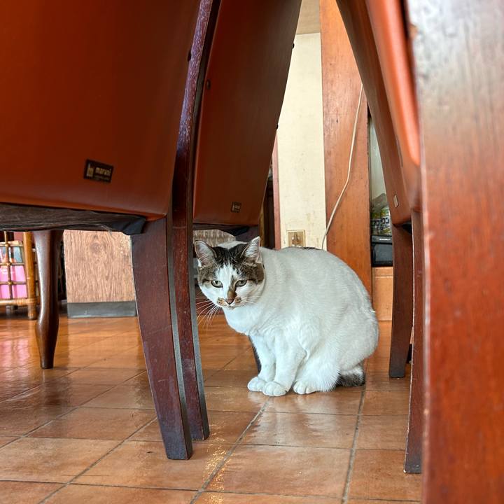 5e23021f 144b 43a0 8b62 eb1c42955dfb 1733975307112