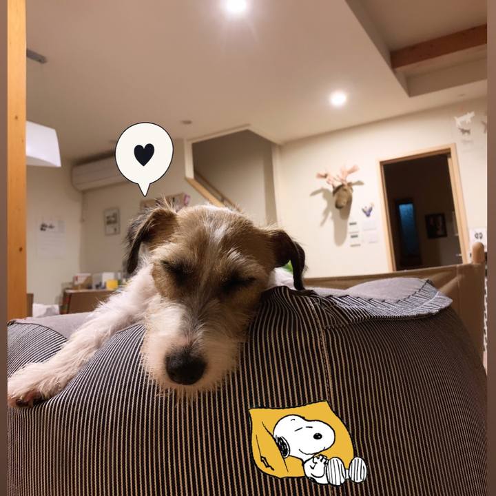 5e230275 6ac3 4b07 8468 e0df4a280382 1592745586245