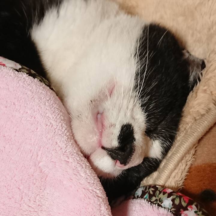 5e230f53 645e 4824 ba0d 999b9509d3e0 1571974785316