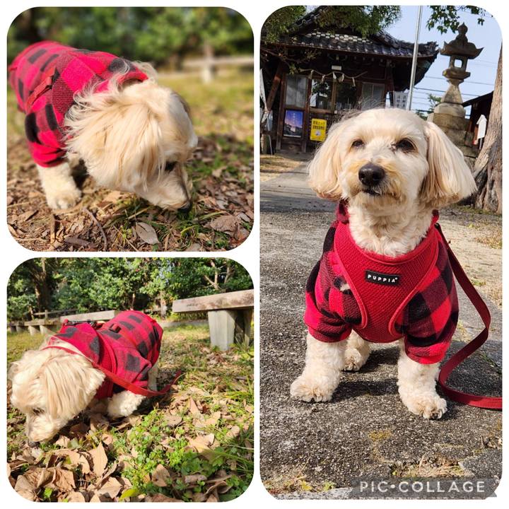 5e233959 caa2 4376 9f15 51a47fed6bc9 1768448052939