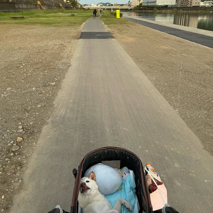 5e23e8cf 0d89 4c46 9868 665492c80641 1666289053789