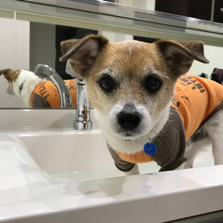 5e23ee5b fed8 4e54 a10e c32e6b60448e 1613347825776