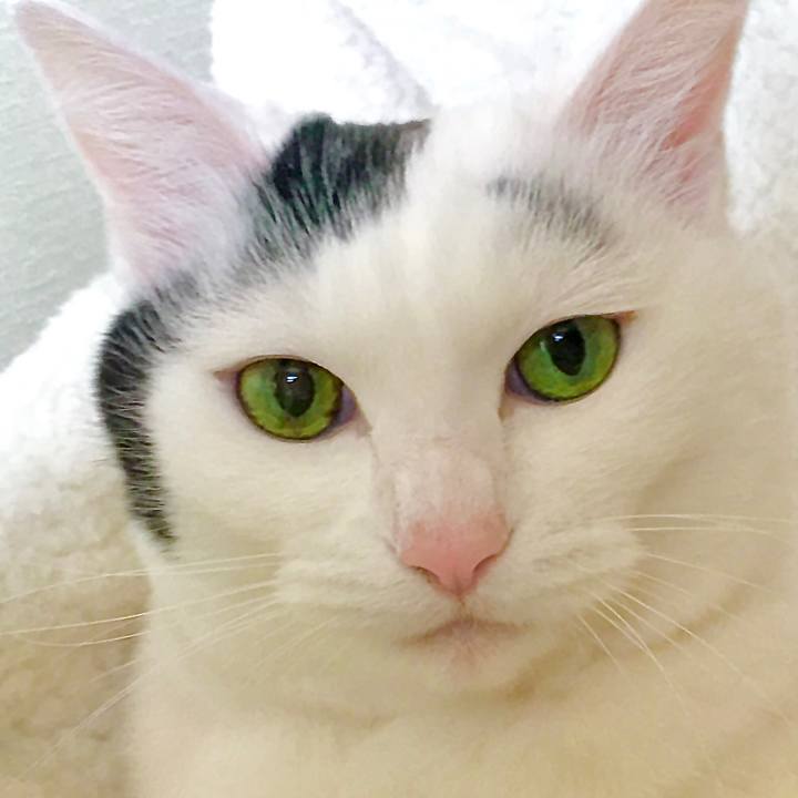 5e23fb67 186d 45bd bae1 0fcacf6bd4df 1613459193866