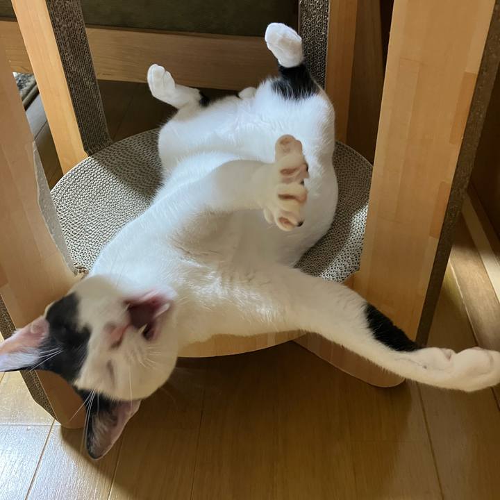 5e23fbe1 8a27 4aaf bddd 1e99e10687de 1762174612553