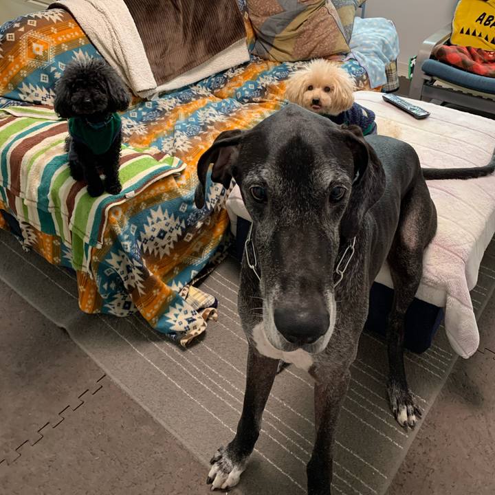 5e243fb8 4aca 4554 8c54 82bc49252925 1604616703643