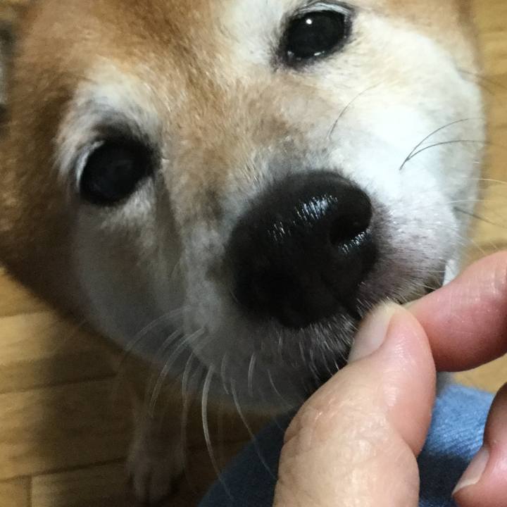 5e245346 c1f8 4419 9726 0d9c6809b0e4 1600246388646