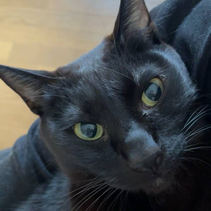 5e24699d 99ab 442f b84d 2908e4159099 1745011494082