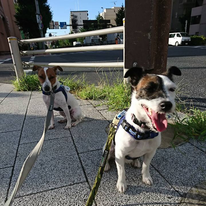 5e247381 f89f 473d bf0c 171e7fc77421 1534369041261