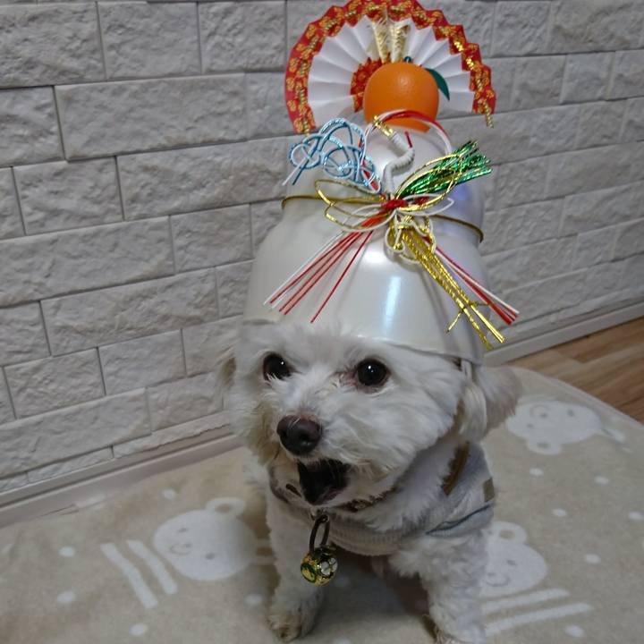 5e24b8d4 c336 43b4 a288 493ca492094f 1579065599465