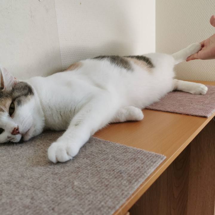 5e24ced0 02bb 452d a63a 7df1cf95b0b2 1627287726741