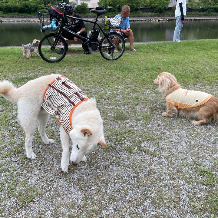 5e24df1e 59ad 4f01 a2f3 a44ff572c42b 1655719045904