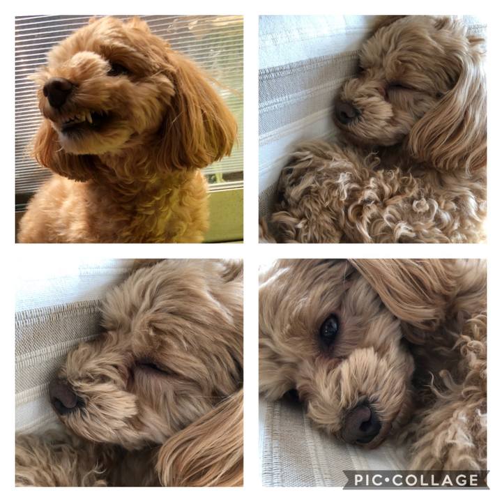 5e24fde9 e04b 4b34 a083 5c1b514fa461 1611290406146