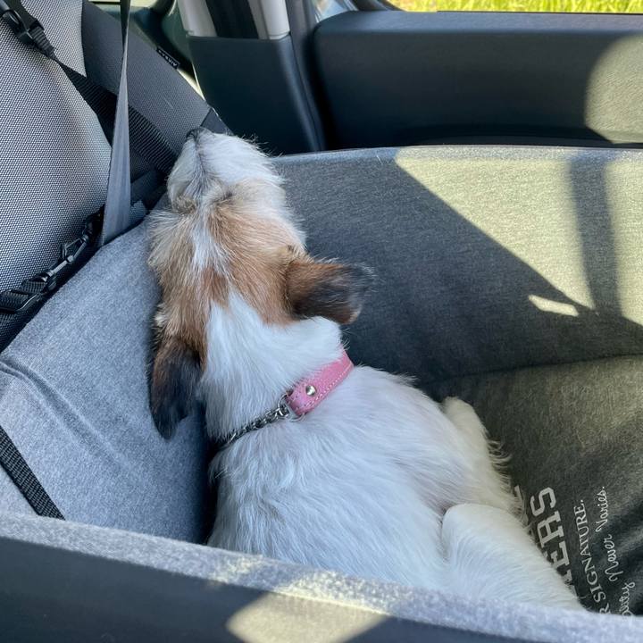 5e25307c 2df3 427d b058 be0f8552aa1d 1657286932433