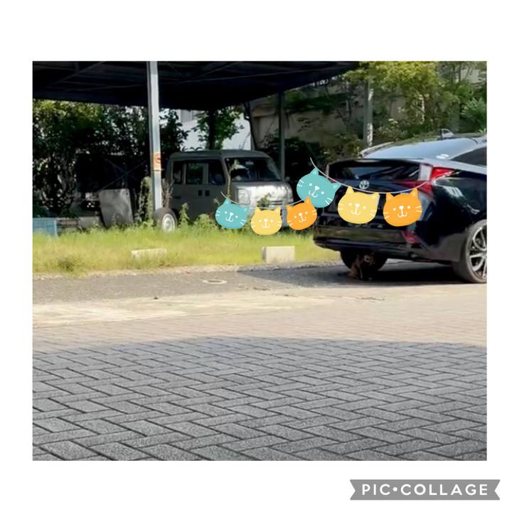 5e255c16 4438 42e8 8b93 767cb01116b6 1751614612049