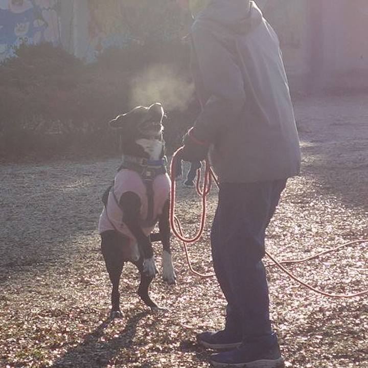 5e257a2a e236 448f bbfe aa774eb19185 1706662053254