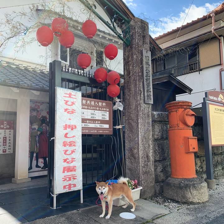 5e25a8d1 ba92 4447 a8b8 0db718aad1f5 1626512311041