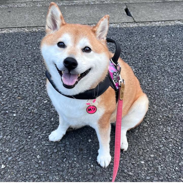 5e25e348 a827 4136 ac0c 1e2136788bd0 1706484073999