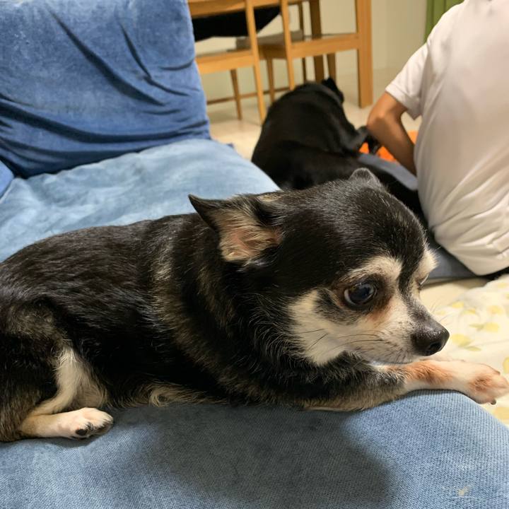 5e25eefa cb31 4ea2 9596 22ff62b2ca49 1663465672057