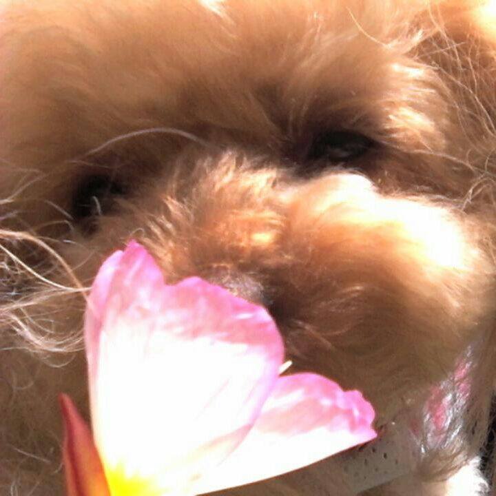 5e268b53 3925 476a a2a1 fcf556aa815d 1527236973326