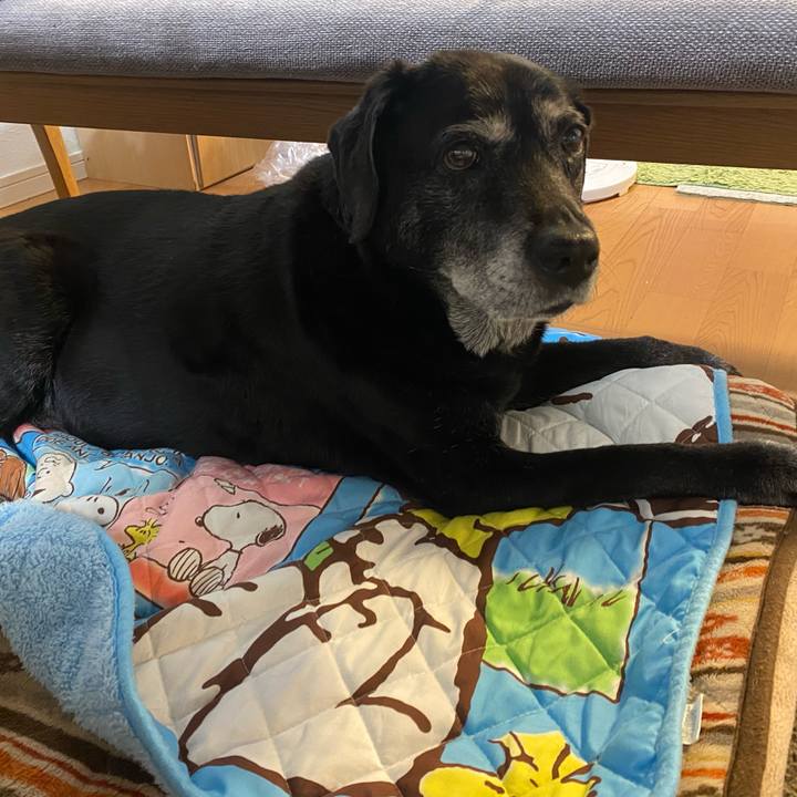 5e269d76 bee2 4df3 96f7 082b18b36d1b 1714143194226