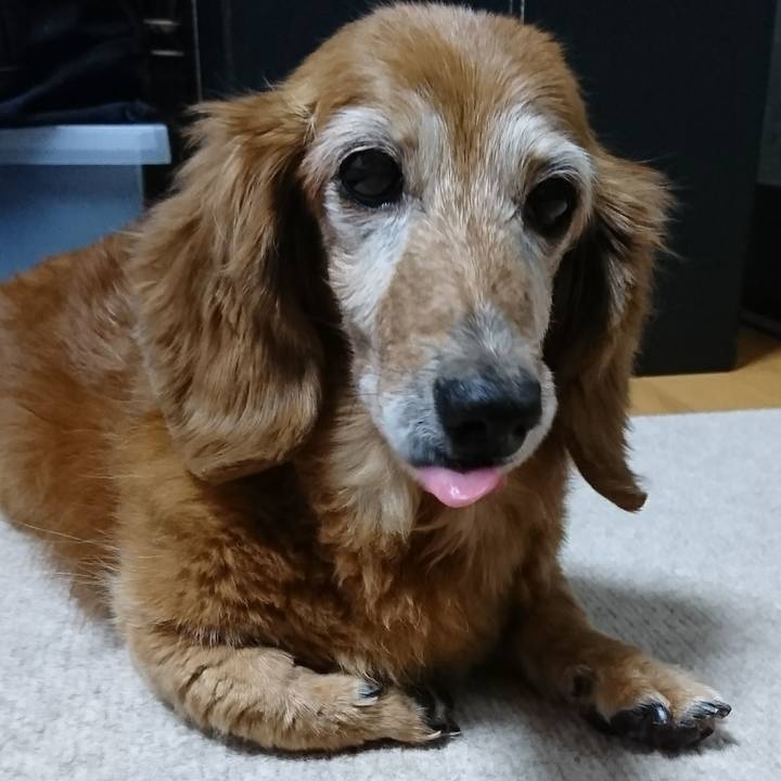 5e26a1eb 2d92 4fb2 88b2 00725937b445 1511308443403