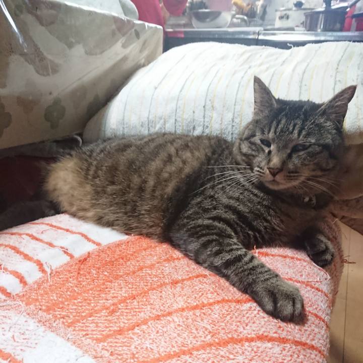 5e26c9b6 add8 46aa 9658 ada667419b7d 1649024468550