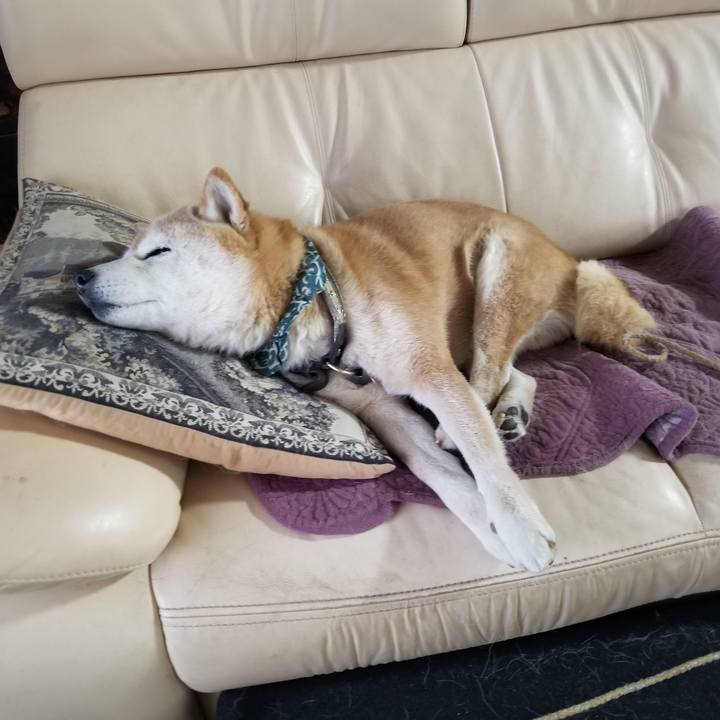 5e27ab96 11d1 4d56 bcbf c64ff48feb84 1707520414903