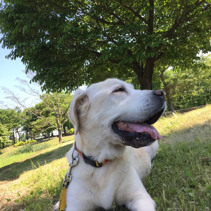 5e27e63b 720f 42a6 9b69 ce2574b684b6 1565347131346