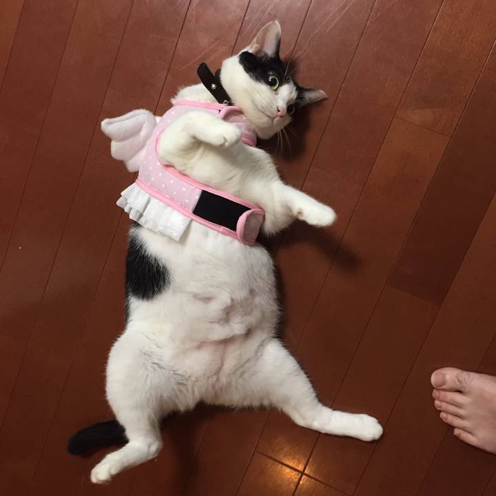 5e27f2ff 34e5 4200 a798 b38632454e67 1516155108115