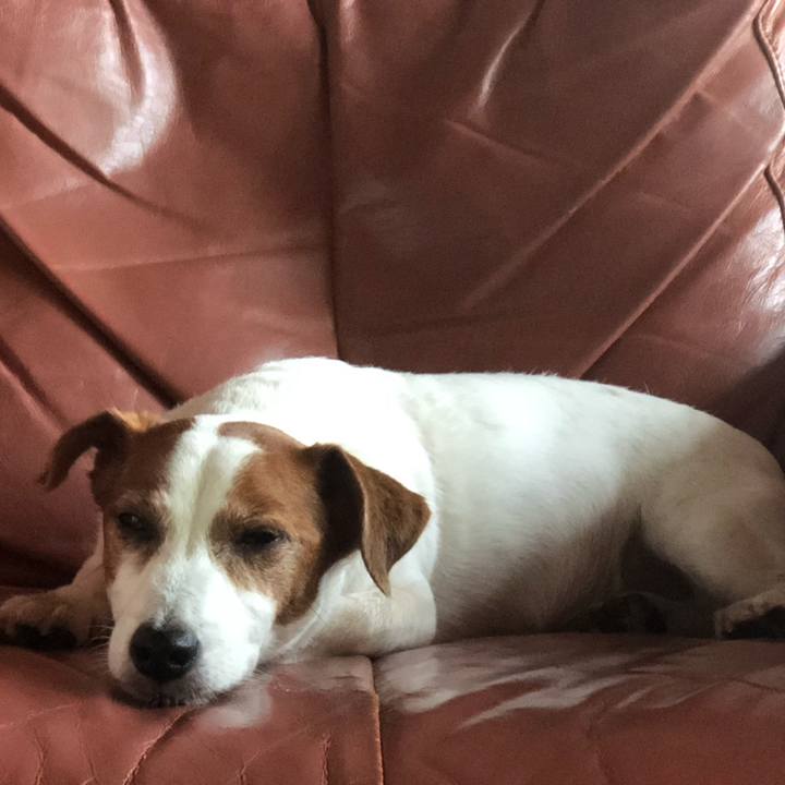 5e281cc2 2ea0 4d3d aa04 b5daa294719a 1720579420985