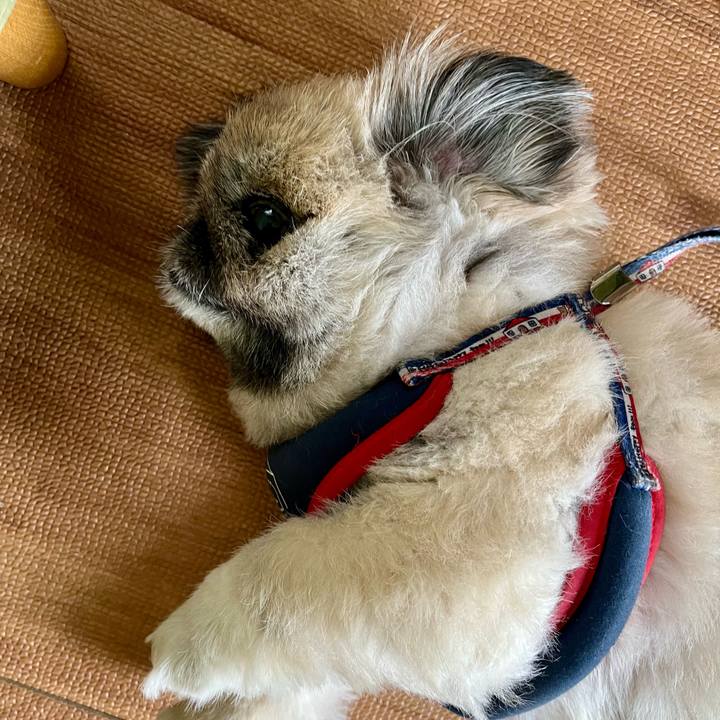 5e283a99 71e4 4990 b3b1 c2b8089bd4bc 1748052360007