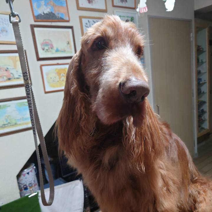 5e286a9e 306b 45ed 9d06 a2e13fb51810 1676691718263