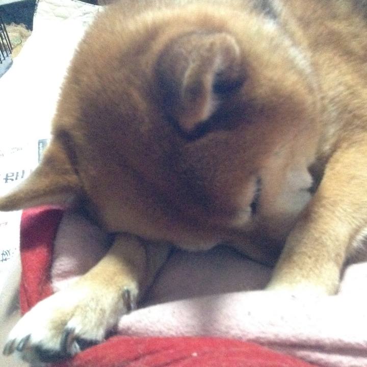 5e28fca7 3c46 4808 adad b8d9d979d7ef 1524356898648