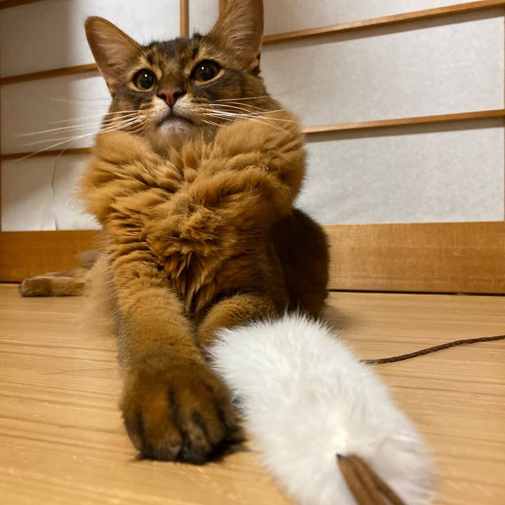 5e2917a3 b335 4eda b20a 3036829d230a 1660091389859