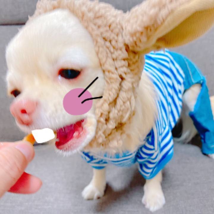 5e2958e5 4613 4940 9d0c c8484c0f40ae 1638968364087