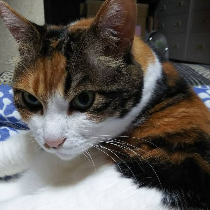 5e2978f1 6bd8 4cc6 b301 0913eb0cd6a9 1528810336485