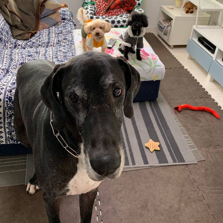 5e29b1a3 02ce 4fcb 98bc 36ebc68d58dd 1547073903412