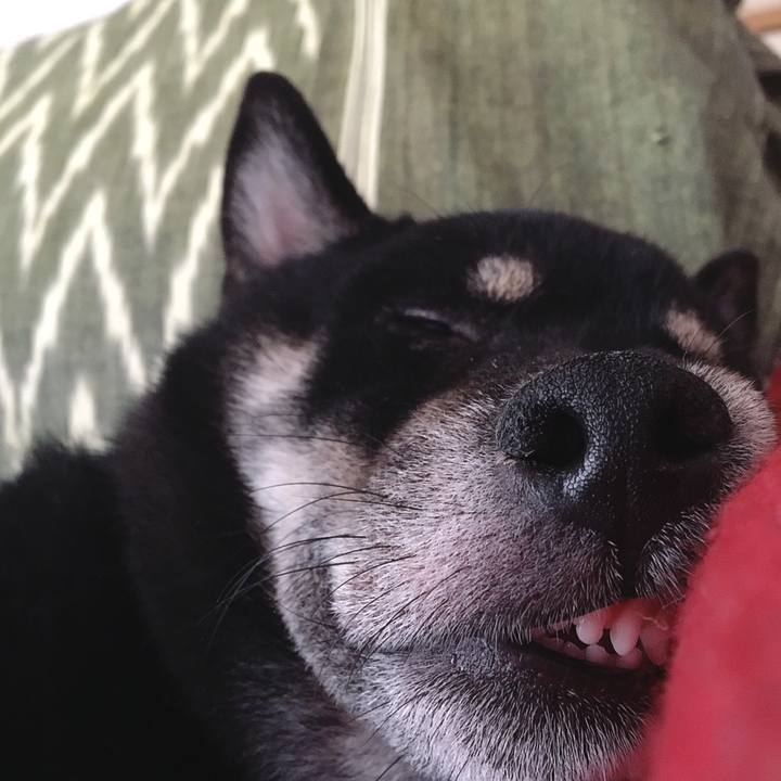 5e29ba0e 4dd6 4c9b 8cca f5598f8c2f43 1540133265882