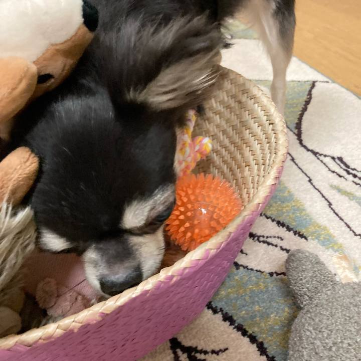 5e29cbcf b024 431e adb8 5ec65b3f0fc5 1629034821142