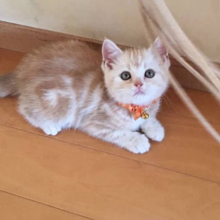 5e29e435 e088 48f7 988b e5ed9166fe60 1552006026493