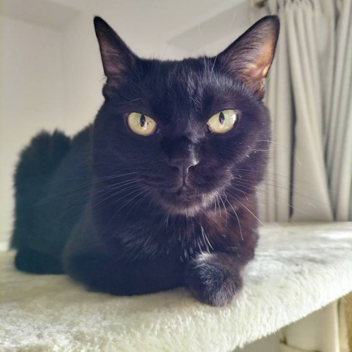 5e29e86c 7bdc 4321 8b32 7c7ae3f312ea 1691015135762