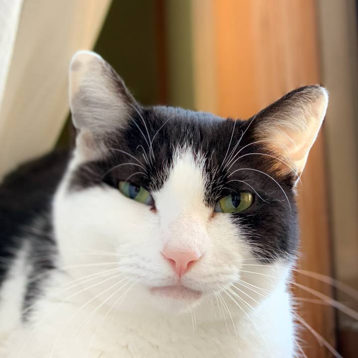 5e2a7d96 a5ed 4a00 9e8a 8903f8bea8e8 1588643737921