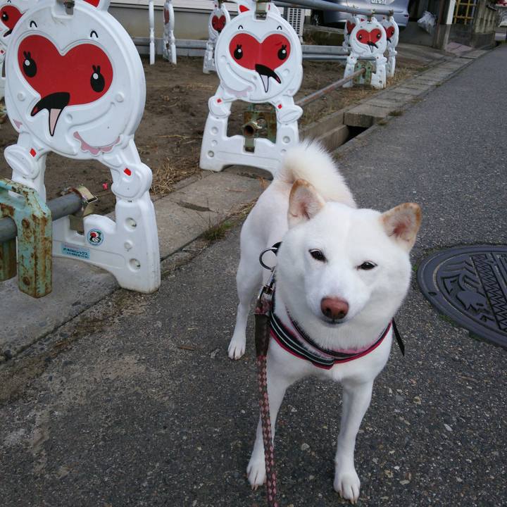 5e2a9a2c bce1 48a4 9921 faf00c6dac87 1544756199830