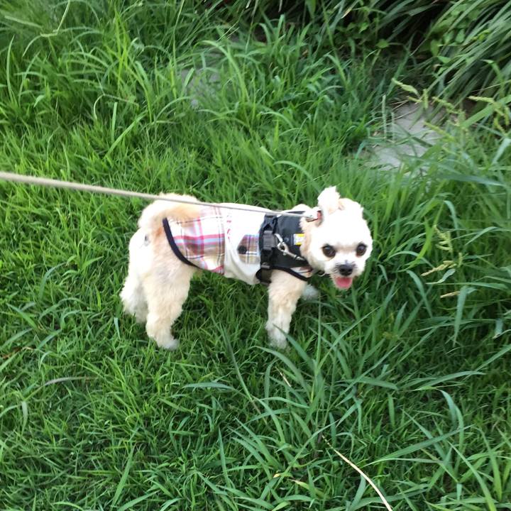 5e2ab85d 6f0b 442b a70b 60fc3a298e4b 1565434560320