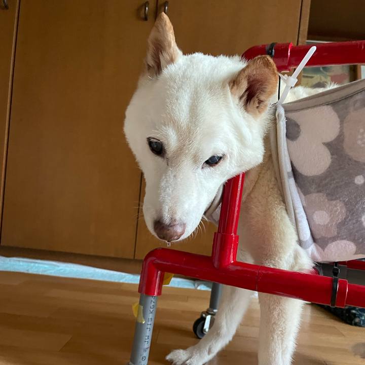 5e2adb22 8817 49ba 830e 105c0bcd6690 1662000442569