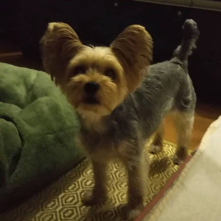 5e2ae006 3a7d 4cd0 9586 76922b911e37 1599438554370