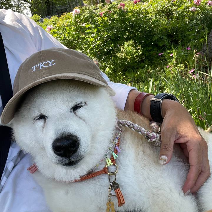 5e2af524 af97 4e8a a2d0 7d1dc83be64a 1715410803920