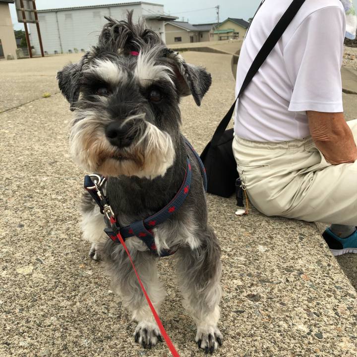 5e2b0f4c 32ef 4381 8360 afd85a52779f 1624805502303